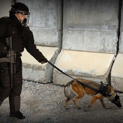 PPE-EOD-TAC6-1